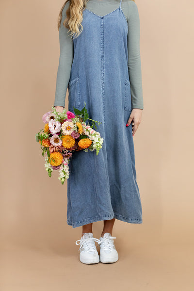 Levi Denim Dress