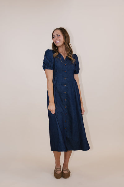 Kollyns Pinstripe Denim Dress
