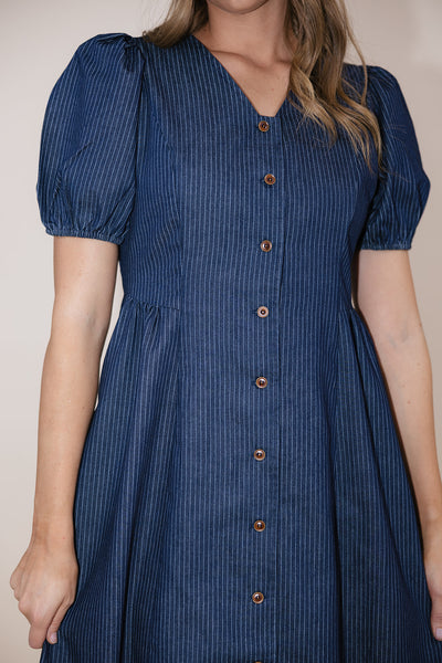 Kollyns Pinstripe Denim Dress