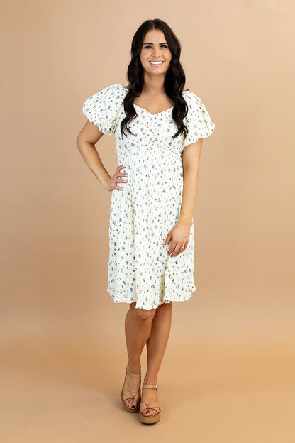 Dixie Dress in Blue
