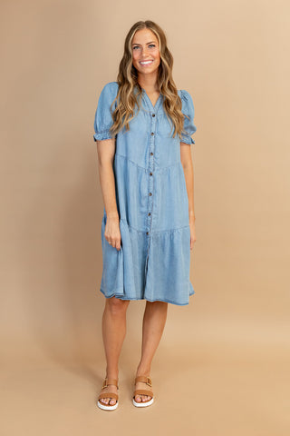 Logan Denim Dress