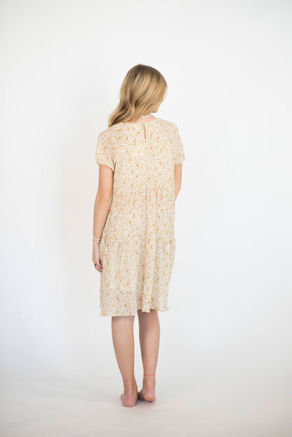 Oaklee Pleated Dress